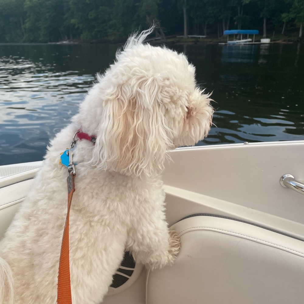 Meet your Posher, Kate